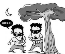 讨债不成 竟与欠债人合伙盗窃