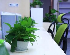 广州收债公司-我为什么不借钱